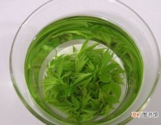 【叶子】苦丁茶是什么：由冬青科属的常绿乔木的叶子经过加工、烘焙而制成的
