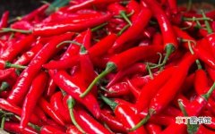 【辣椒】吃辣椒为什么会肚子疼：吃下辣椒后肠胃受到刺激，胃肠蠕动加速，胃