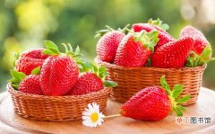 【草莓】如何挑选草莓