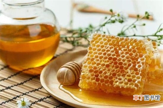 【花卉大全】详细了解2018养蜂新政策，5个要点加强扶植养蜂行业