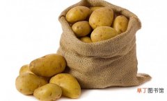 【土豆】马铃薯是什么：是从国外传来的食物，我国称为土豆