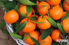 【橙子】一天吃几个橙子最好，一天1～5个可美容养颜