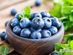 【功效】蓝莓的功效与作用禁忌，预防疾病美容瘦身又可抗衰老