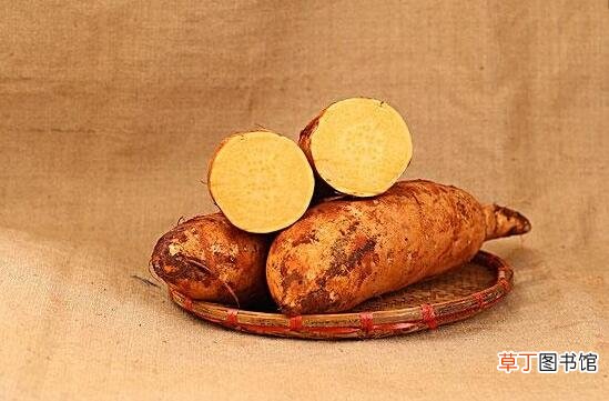 【多】红薯多少钱一斤：9月以后，全国大部分地区红薯价格整体维持在：0.6—0.8元/公斤