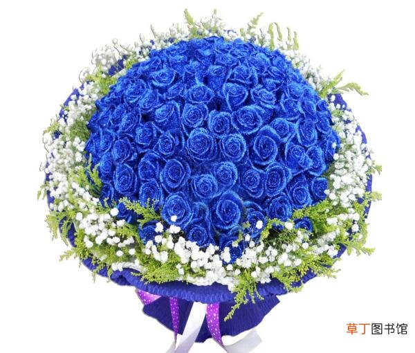 枝数决定总价 【多】蓝玫瑰多少钱一枝,蓝玫瑰多少钱一束