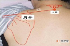艾灸肩井的作用与功效 肩井的准确位置图