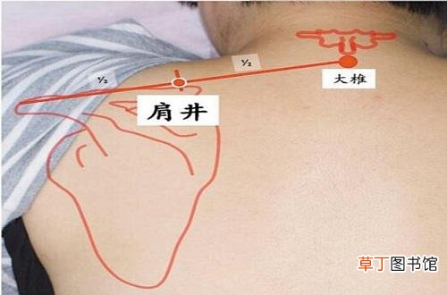 艾灸肩井的作用与功效 肩井的准确位置图