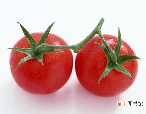 谣言：小番茄是转基因的