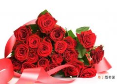 价格据朵数而定 【多】花店一束玫瑰花多少钱,一束玫瑰花多少朵