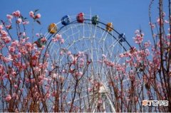 2月14至4月8日 【樱花】2018深圳樱花节是什么时候 深圳观澜湖樱花节时间