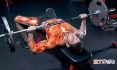 卧推锻炼什么肌肉 主要锻炼胸部肌肉