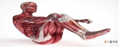 膝关节韧带有几根 膝关节韧带损伤恢复方法
