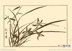 【象征意义】中国文化中兰花的象征意义