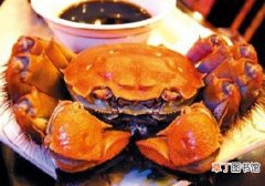 阳澄湖螃蟹怎么出名的 吃蟹你知道了吗？