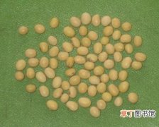 【黄豆】花友分享：用黄豆制作花肥的简单方法
