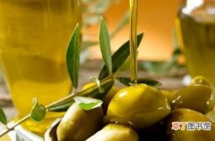 橄榄油对头发的功效与作用 橄榄油护发的正确方法