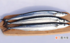 【营养价值】刀鱼是淡水鱼还是海鱼?刀鱼的营养价值及功效有哪些