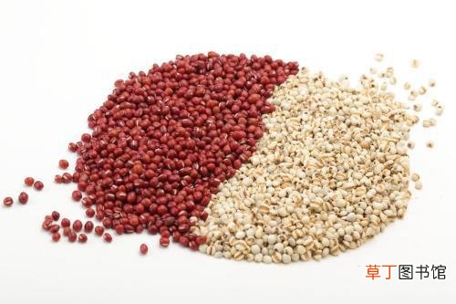 红豆薏米可以除湿气吗 湿气重有哪些危害