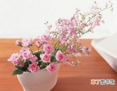【花卉】花卉在社交礼仪中的几种应用形式