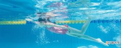游泳1000米消耗的热量 冬天游泳池的水是热的吗