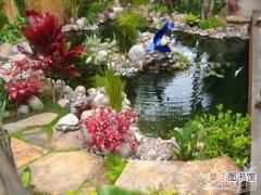 【水生植物】庭园水景园林的设计思路及水生植物的配置