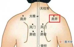 肩井痛是怎么了 肩井的作用与功效