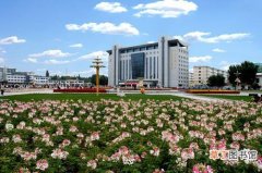 【花卉】内蒙古：天气逐渐转凉 清新花卉展受市民追捧