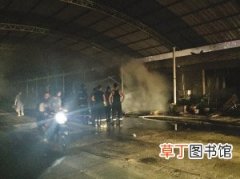 【花卉】7月11日晚天津市西青区雷庄花卉着火 火灾事故半小时被控制