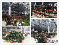 【花卉】15日到18日中国家庭花卉园艺展览会将在江苏常州举行