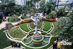 【植物】重庆南山植物园进数百种植物 包括最毒见血封喉的植物