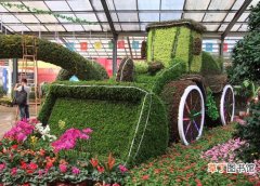 【花卉】宁夏自治区：银川正式成为第九届中国花卉博览会举办城市