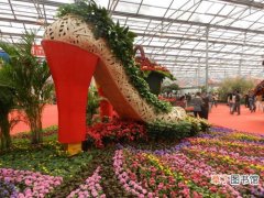 【花卉】山东省：青州花卉产业带动旅游产业发展