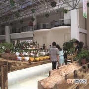 【花卉】第15届中国花卉零售业交流会将于7月15日至18日在常州举行