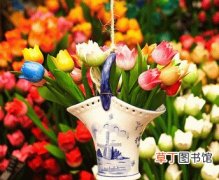 【花卉】今年8月起俄罗斯将对荷兰进口花卉进行检疫