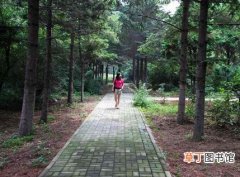 【开放】沈阳市树木标本园将扩建并对市民开放