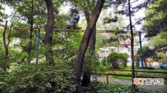 【树】沈阳树木标本园已着手实施基础设施建设 可媲美郊外世博园