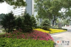 【绿化】北京市：东二环交通商务区绿化景观工程竣工 奥运花卉进驻