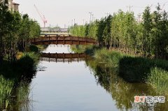 【花卉大全】南京市：重点建设原生态郊野公园 尽量减少＂人文景观＂