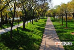 【天津】天津市出台了林业生态建设规划 加速建设生态型城市