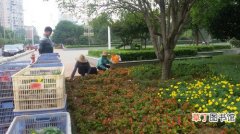 【植物】衡阳市：植物园和酃湖公园建设将在2017年6月前完成