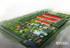 【绿化】养猪场绿化建设工程初步计划方案