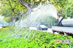 【高温】夏季持续高温干旱花木易晒枯　园林工人忙灌溉护绿