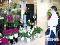 【花】中秋节、国庆节＂双节＂来临 临沂市鲜花店生意迎来小高潮