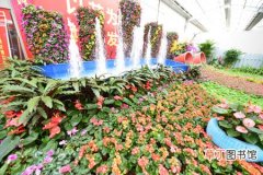 【花卉】山东省：第15届中国花卉博览交易会在青州举办