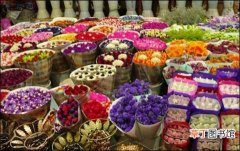 【七夕】花卉市场行情：＂七夕节＂不敌＂情人节＂
