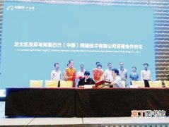 【花卉大全】阿里巴巴漳州特色产品在线zhangzhou.1688.com开启