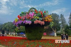 【花】第17届海峡两岸花博会将于11月18-22日在漳州东南花都举行