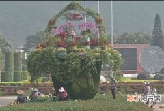 【花】第七届农博会、第十七届花博会将于11月18号在东南花都开幕