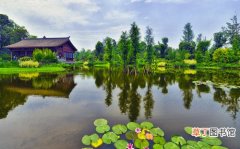 【园林】重庆市：主城将建122个社区公园 力争成为国家园林城市