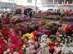 【保鲜】云南利鲁公司深挖花卉产业链 保鲜花卉出口英国